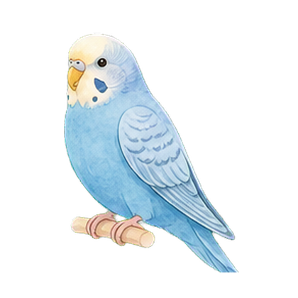 鳥