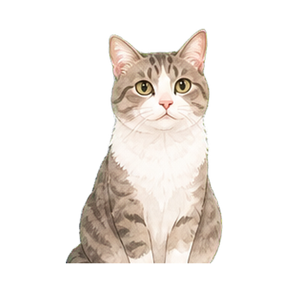 猫
