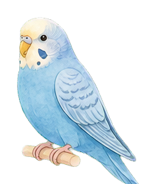 鳥