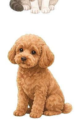 犬