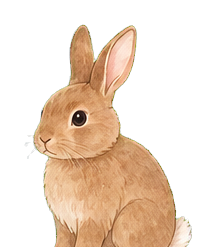 うさぎ